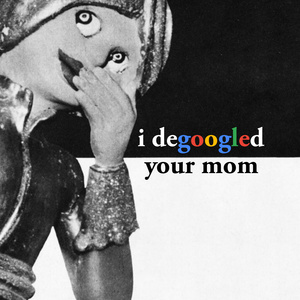 i degoogled your mom